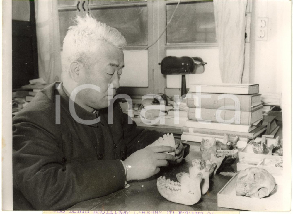 1957 CHINA - Paleontologo Pei WENZHONG lavora su resti umani preistorici *Foto