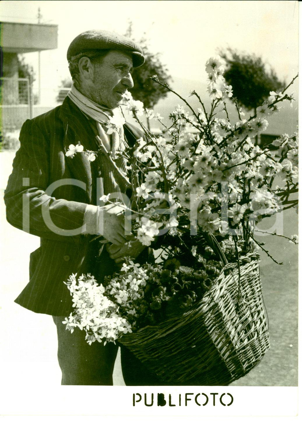 1953 NAPOLI - Venditore ambulante con fiori di mandorlo - Foto 13x18 cm