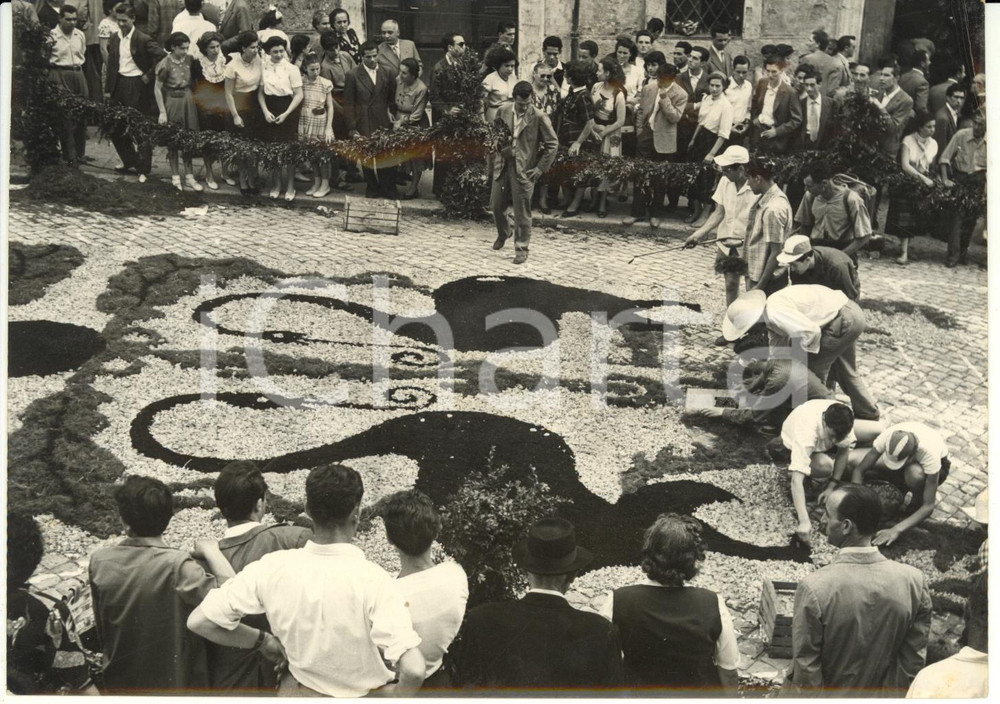 1953 GENZANO (ROMA) Tradizionale INFIORATA - Allestimento del tappeto floreale