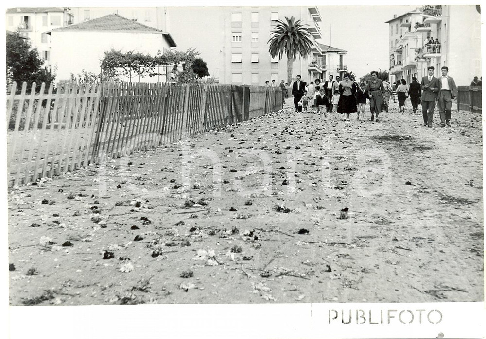 1954 VENTIMIGLIA (IM) BATTAGLIA DI FIORI - Strada dopo il passaggio dei carri