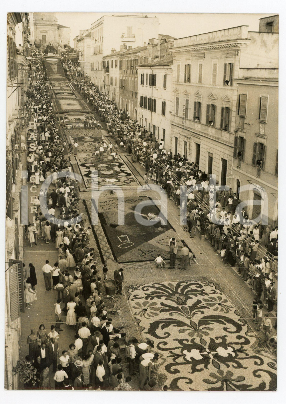 1957 GENZANO (ROMA) Tradizionale infiorata - Veduta di Via Italo Belardi *Foto
