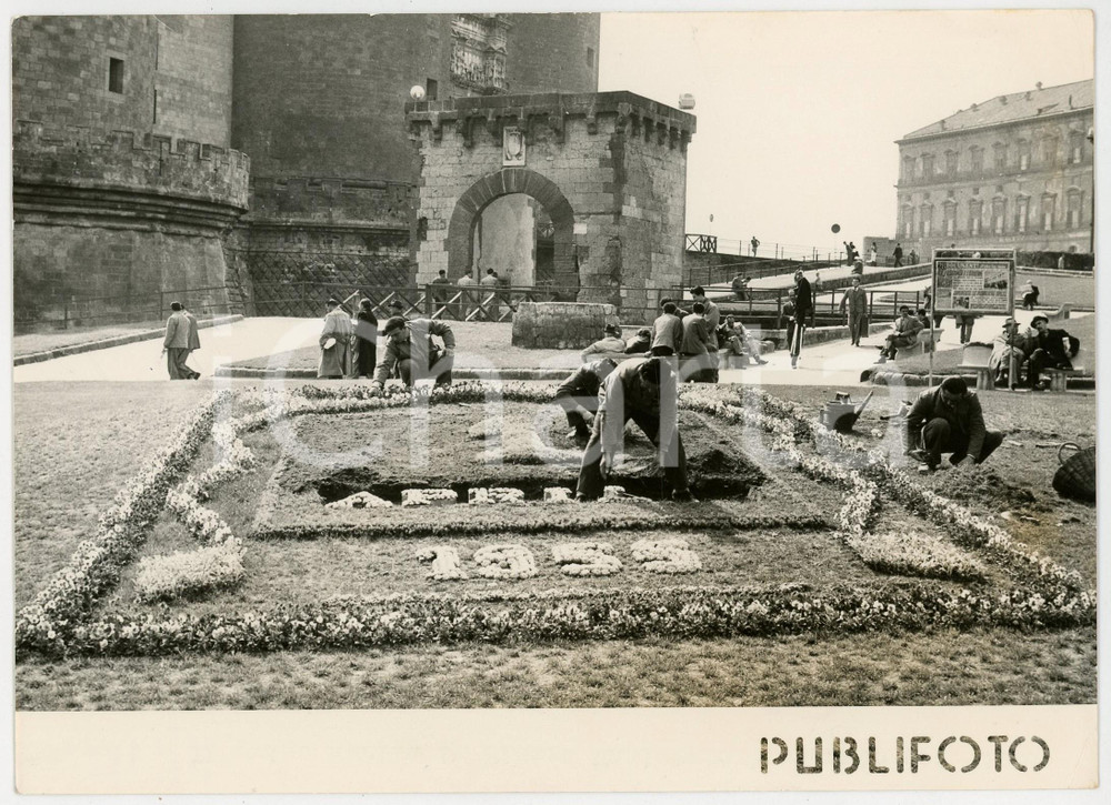 1955 NAPOLI PIAZZA MUNICIPIO - Allestimento floreale per il 1° aprile *Foto