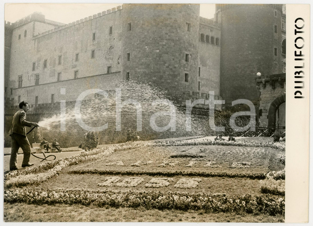 1955 NAPOLI PIAZZA MUNICIPIO - Allestimento floreale per 1° aprile *Foto 18x13