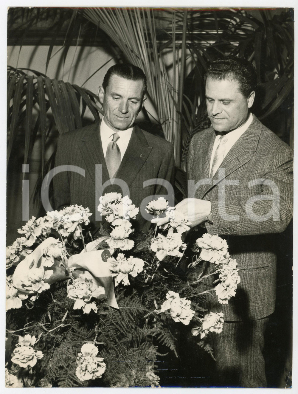 1956 SANREMO (IM) - Antonio VIALE e Pietro FARINA ammirano garofani GRACE KELLY
