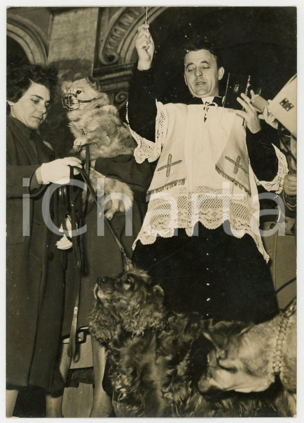 1959 ROMA Chiesa di SANT'ANTONIO ABATE - Benedizione degli animali *Foto 13x18