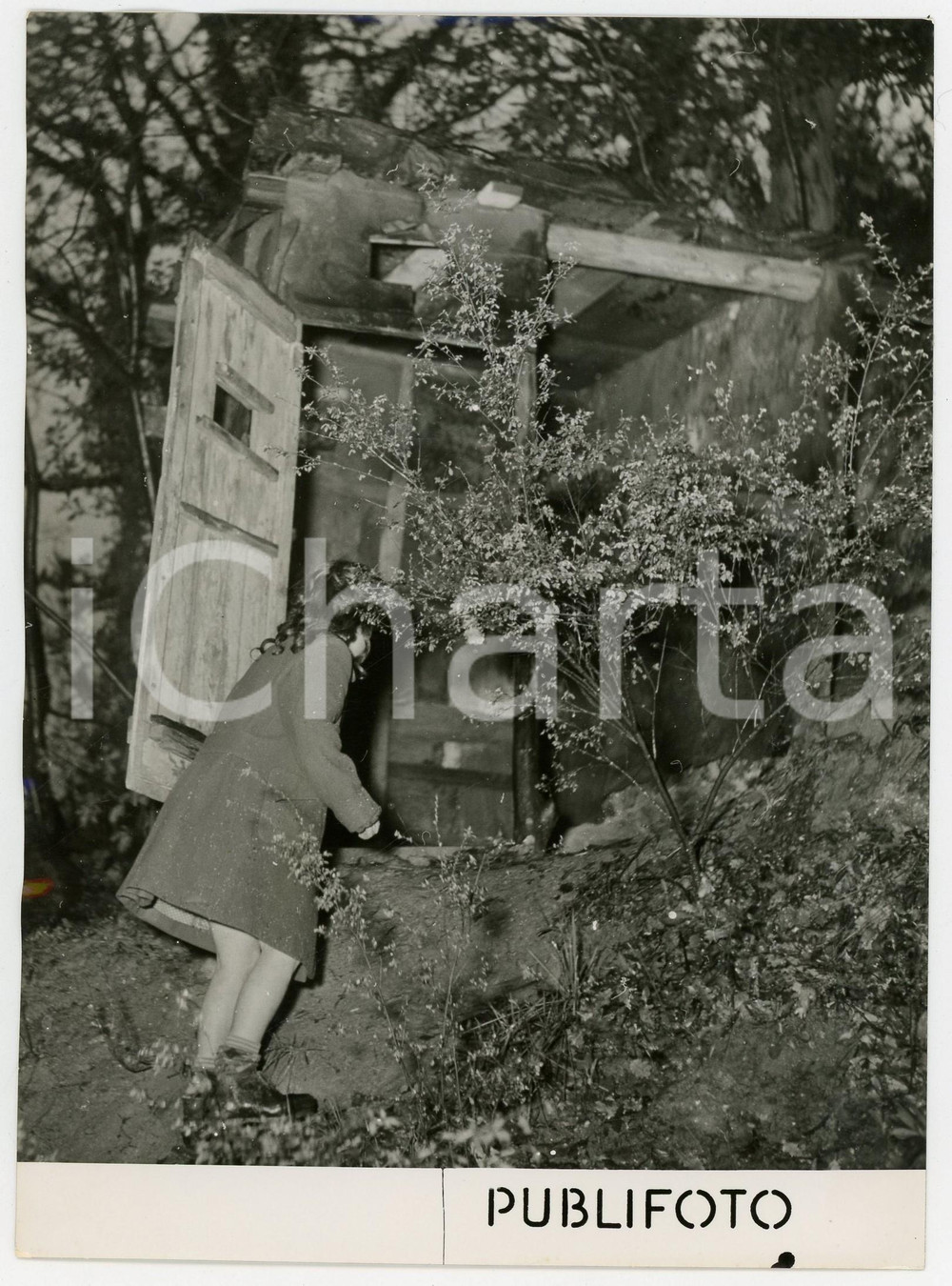 1955 ca GENOVA CORNIGLIANO - Maria Franca FESTELLI cerca fratello rapito *Foto