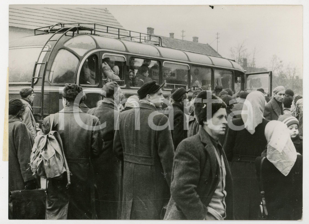 Fotografia d epoca originale 1956 VIENNA Rivoluzione ungherese  Folla di profughi in partenza Foto 18x13 cm 1