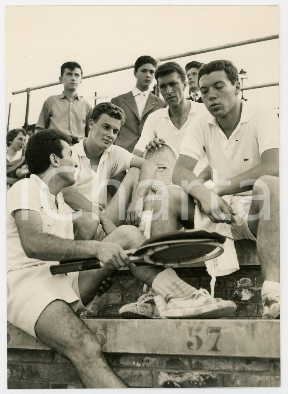 Fotografia d epoca originale 1956 BOLOGNA Coppa Davis  Beppe MERLO Nicola PIETRANGELI Orlando SIROLA Foto 1