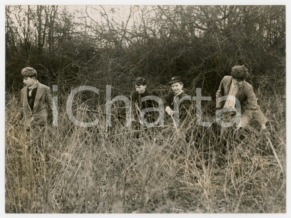 1958 NOMANSLAND COMMON - Schoolboys looking for missing girl Ann NOBLETT *Photo