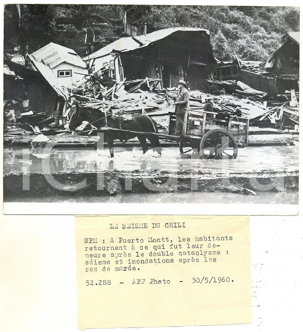 1960 PUERTO MONTT (CILE) Terremoto di Valdivia - Abitazioni distrutte dal sisma