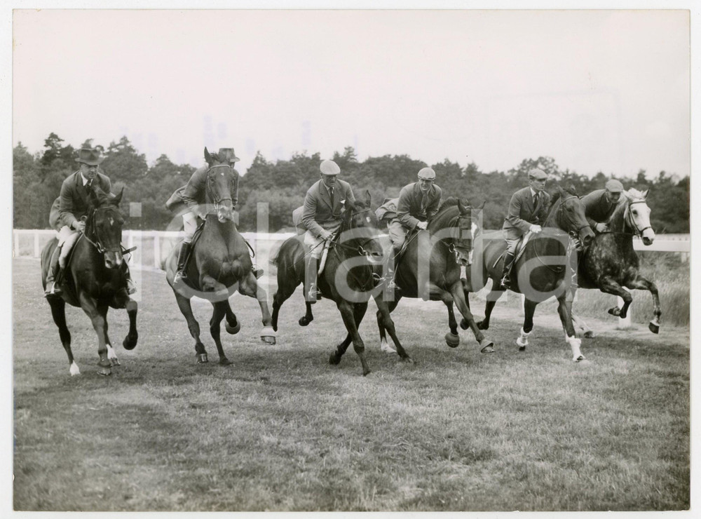 1960 ASCOT Windsor Forest Stud - British Olympic HORSE TRIAL Team training