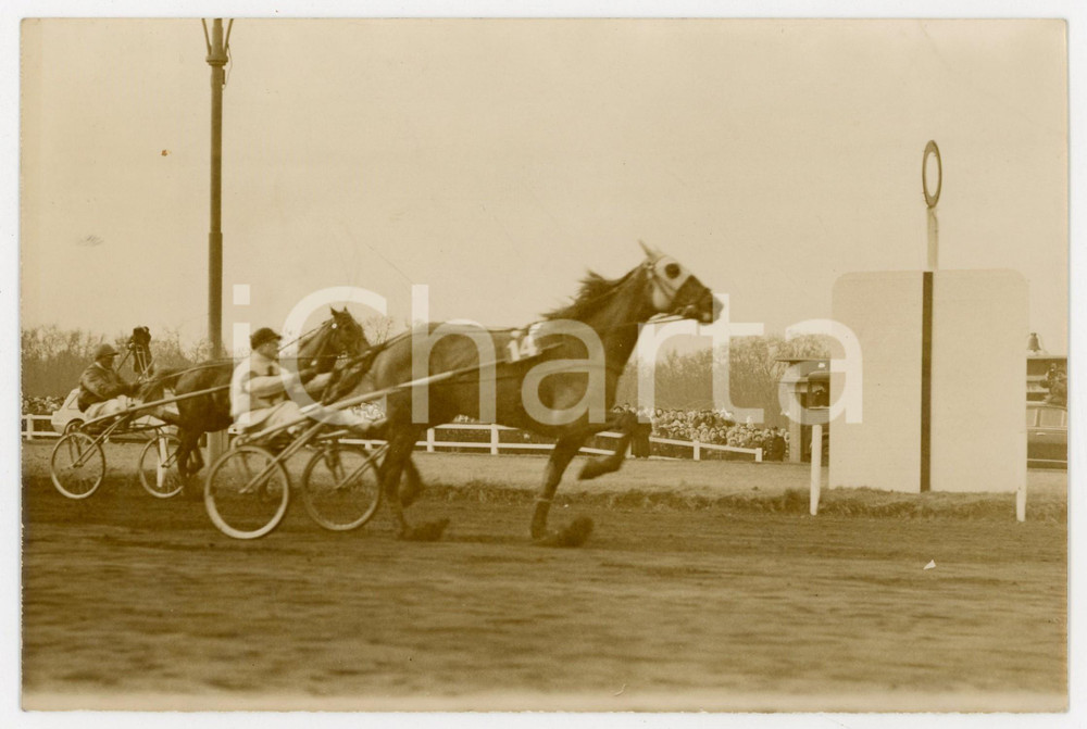 1961 PARIS VINCENNES Prix d'Amérique - Vince MASINA montato da François BROHIER