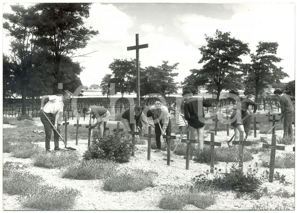 1959 NEUVILLE-SAINT-VAAST - Giovani volontari sistemano cimitero militare WWI