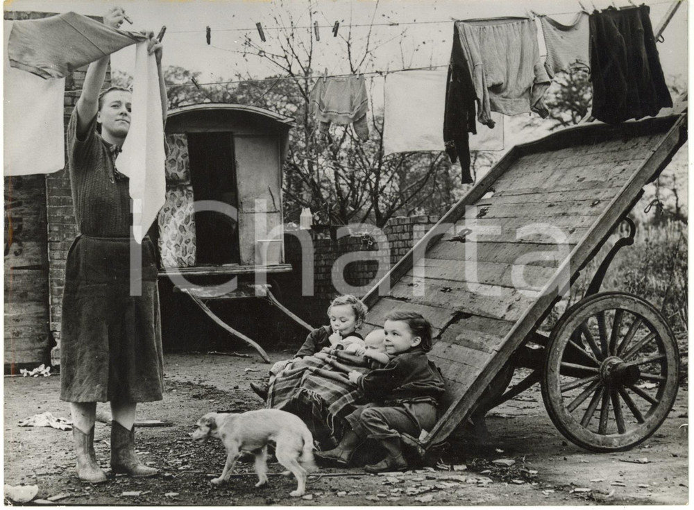 1953 WOLVERHAMPTON (UK) - Harriett GASKIN hangs out the nappies *Photo 20x15