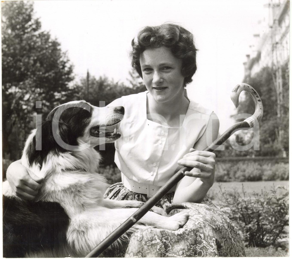 1960 LONDON - Janet OLLERNSHAW trains with her dog SCOT for the Sheep Dog Trials