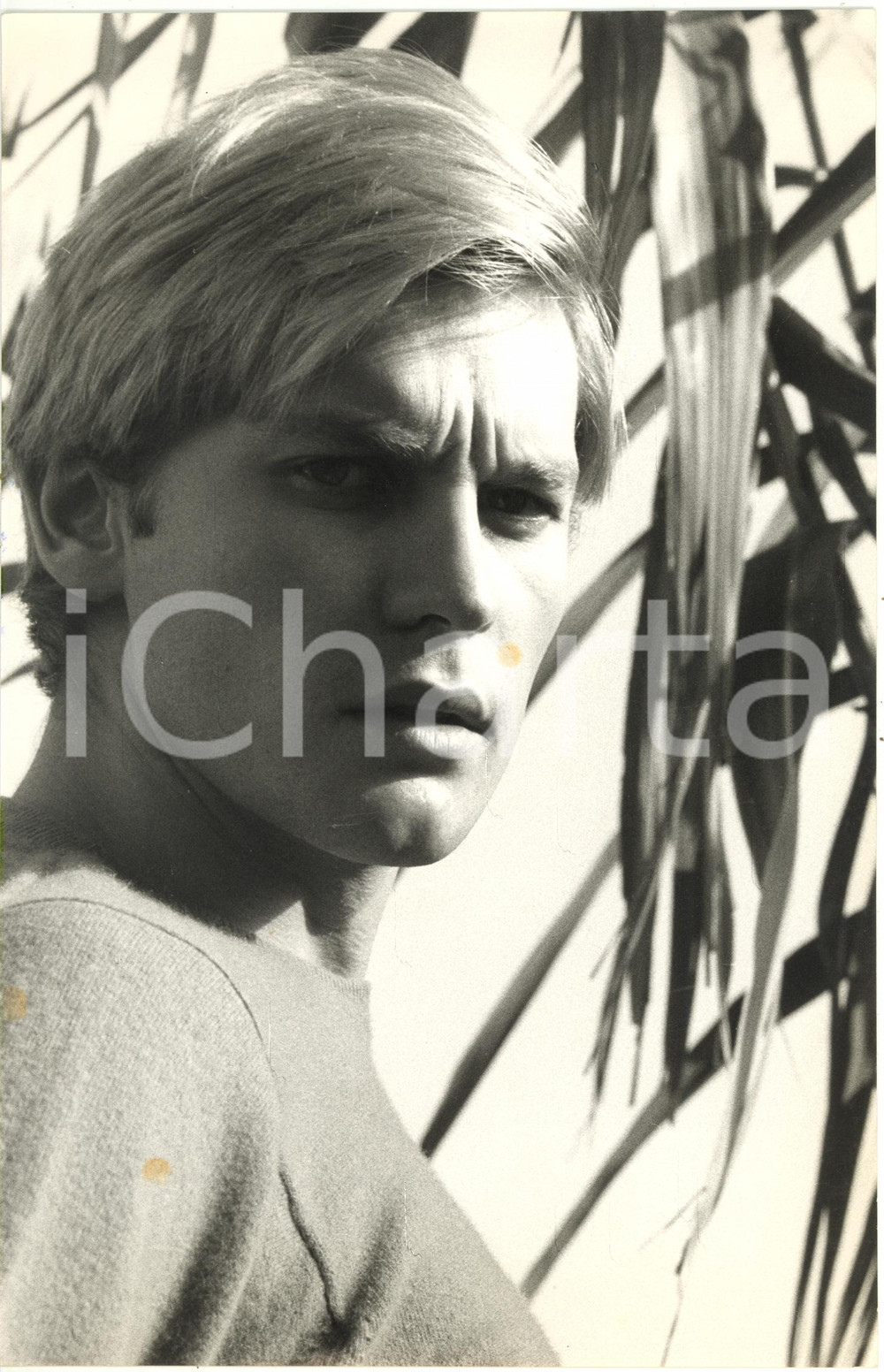 1970 ca CINEMA - Helmut BERGER - Ritratto dell'attore (9) *Foto VINTAGE 18x28 cm