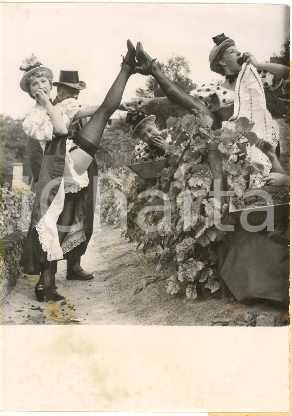 1953 PARIS MONTMARTRE - Danseuses de FRENCH CANCAN participent aux vendanges