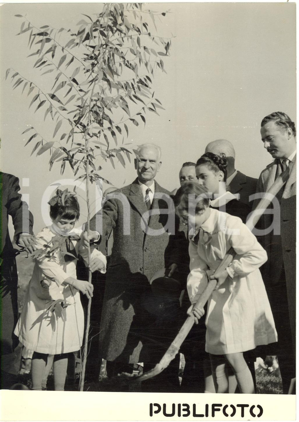 1953 ROMA Monte Mario - Rocco SALOMONE pianta un albero alla FESTA DEGLI ALBERI