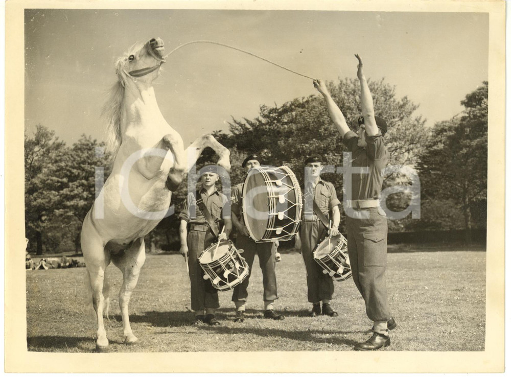 1956 ALDERSHOT Army Rugby Stadium - John ASH with mascot of 3rd Battalion SAMSON