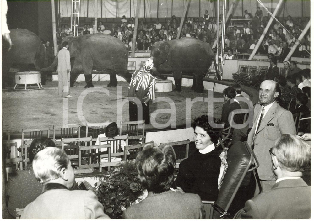1959 TORINO - Benedetta COMBA assiste a uno spettacolo del CIRCO TOGNI *Foto