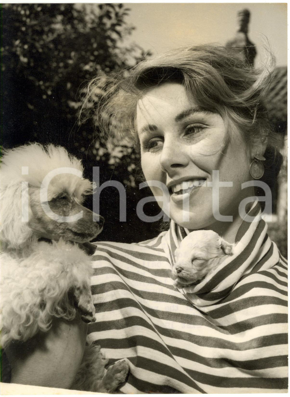 1956 AXBRIDGE (UK) - Ballet dancer Ann SCOTT with her dogs *Photo VINTAGE 15x20 