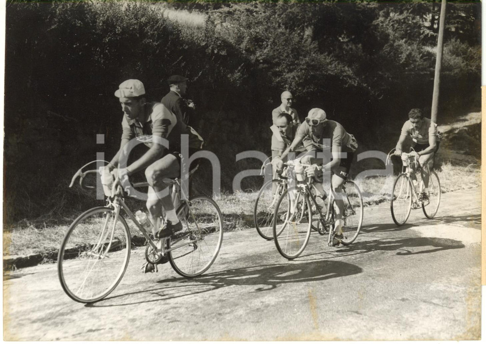 1956 TOUR DE FRANCE - Jean FORESTIER Gilbert BAUVIN Roger WALKOWIAK *Photo 18x13