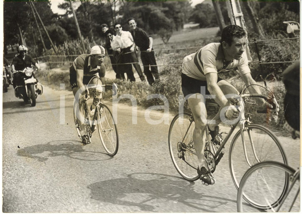 1956 TOUR DE FRANCE - Joseph THOMIN suivi de Pierre SCRIBANTE *Photo 18x13 cm
