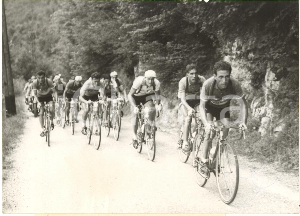 Fotografia d epoca originale 1954 TOUR DE FRANCE  Apo LAZARIDÃˆS Federico BAHAMONTES Robert VARNAJO Photo 1