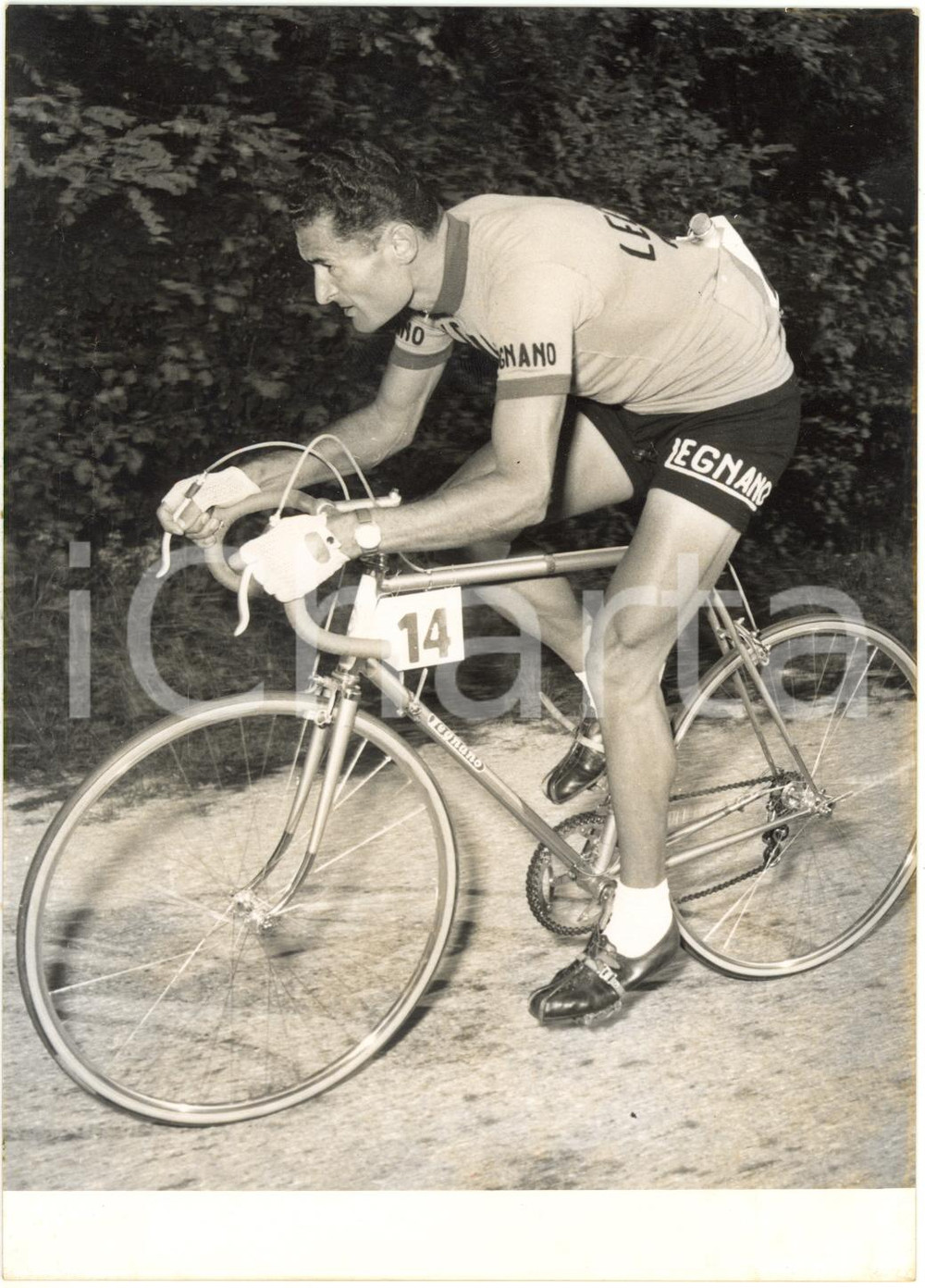1955 CICLISMO Tre Valli Varesine - Giuseppe MINARDI durante la gara - Ritratto 