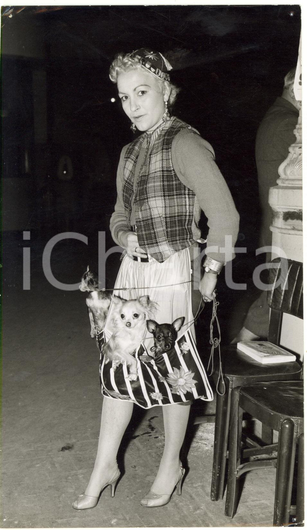 1959 LONDON OLYMPIA Crufts Dog Show - Olga FREI-DENVER with her three chihuahuas