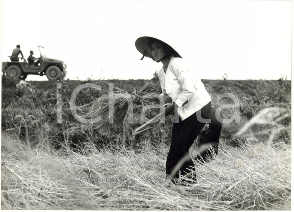 1967 VIETNAM DEL SUD - Contadina lavora sotto protezione di pattuglia americana