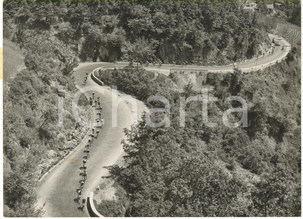 1953 GIRO D'ITALIA Tappa Bordighera-Torino - Il gruppo sul COL DI NAVA *Foto