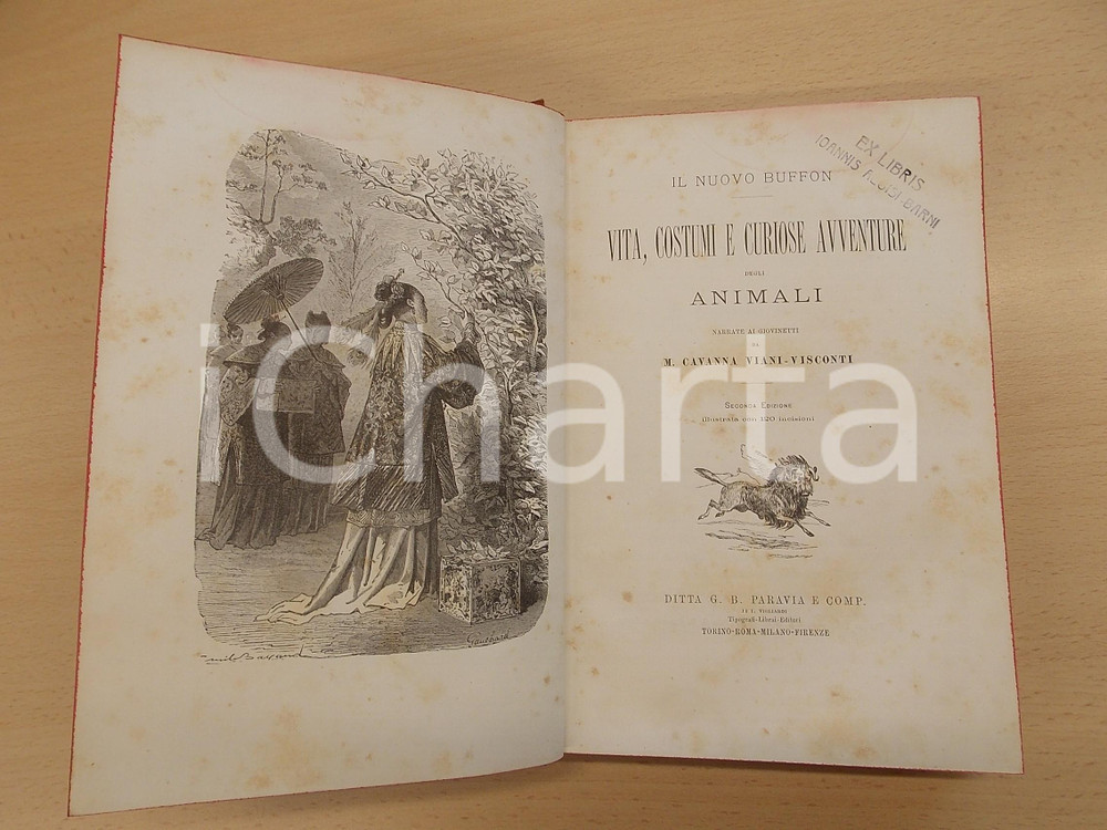 Libro, pubblicazione d epoca 1888 M. CAVANNA VIANIVISCONTI Il nuovo Buffon  PARAVIA ill. 120 incisioni 1