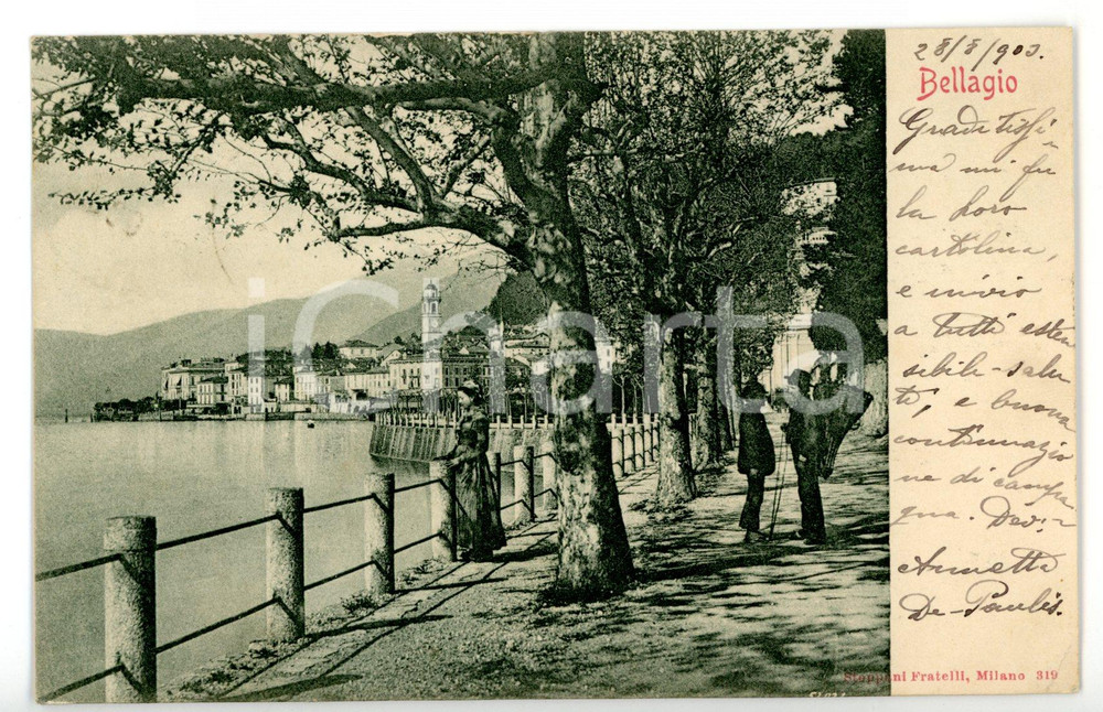 1903 BELLAGIO (CO) Giovane donna contempla il lago *Cartolina ANIMATA FP NV