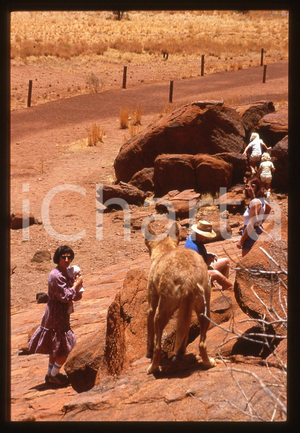 35mm vintage slide* 1988 EVIL ANGELS Meryl STREEP in una scena del film 4