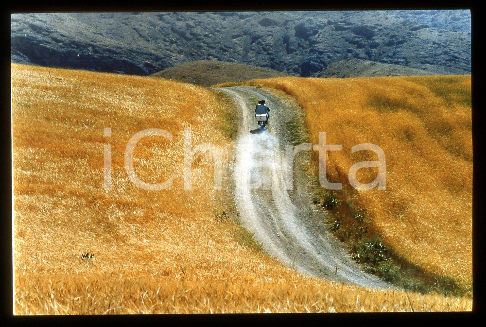35mm vintage slide*1999 LE VENT NOUS EMPORTERA Scena film di Abbas KIAROSTAMI