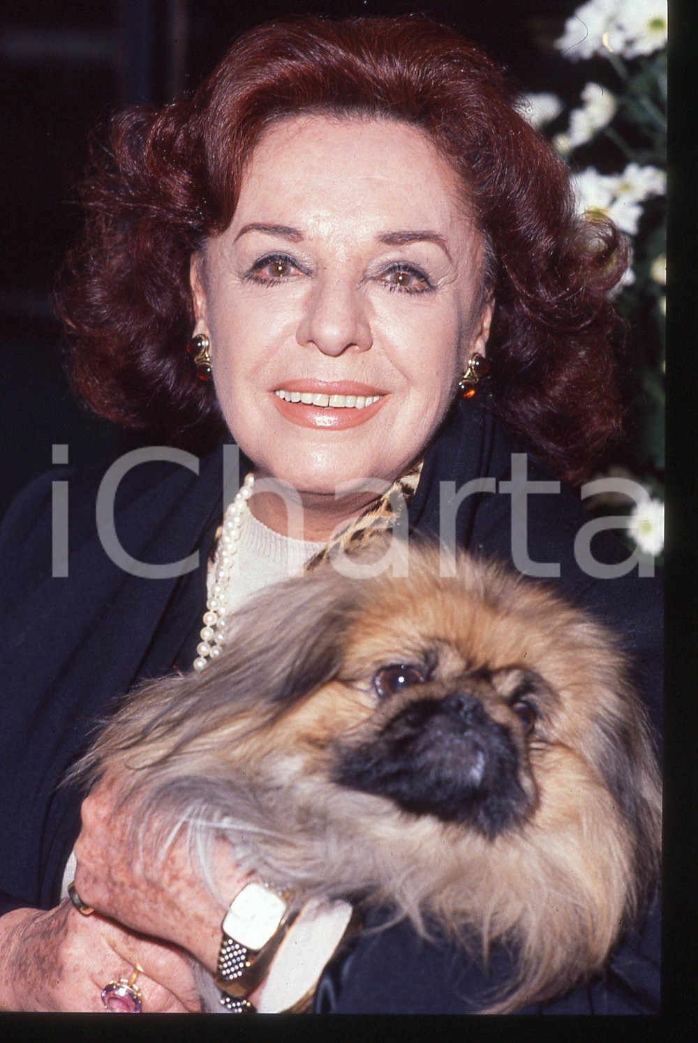 35mm vintage slide*1990ca COSTUME - Anna PROCLEMER Ritratto con cane