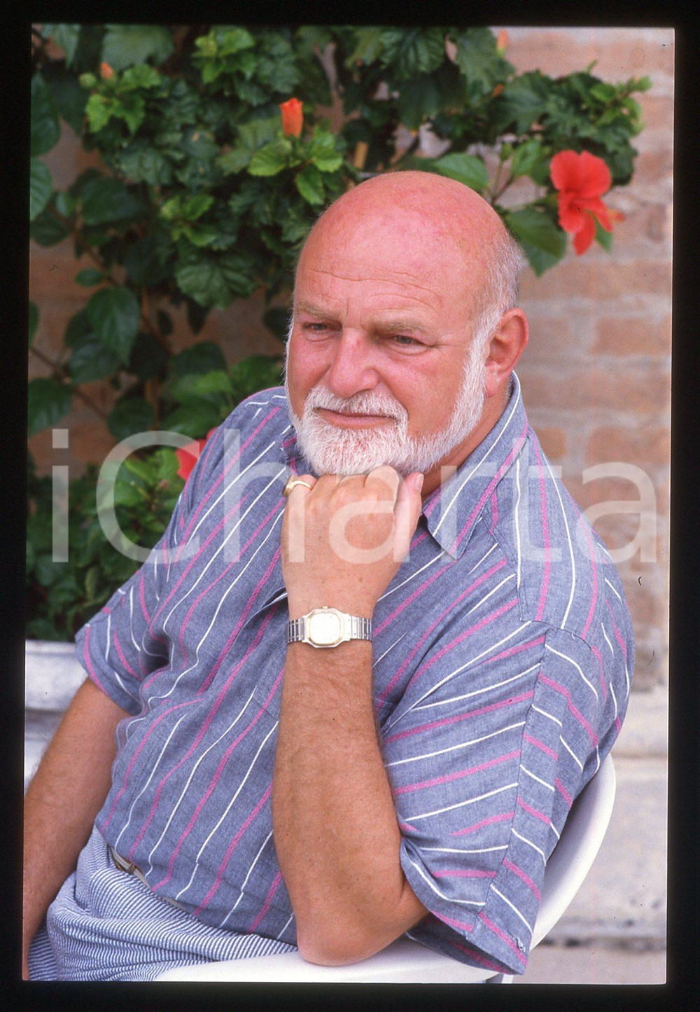 35mm vintage slide*1988 VENEZIA MOSTRA DEL CINEMA - John SCHLESINGER Ritratto 2