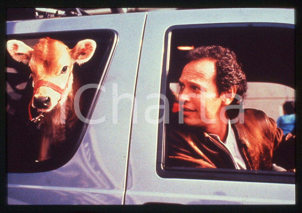 35mm vintage slide* 1991 CITY SLICKERS Billy CRYSTAL in una scena del Film (4)