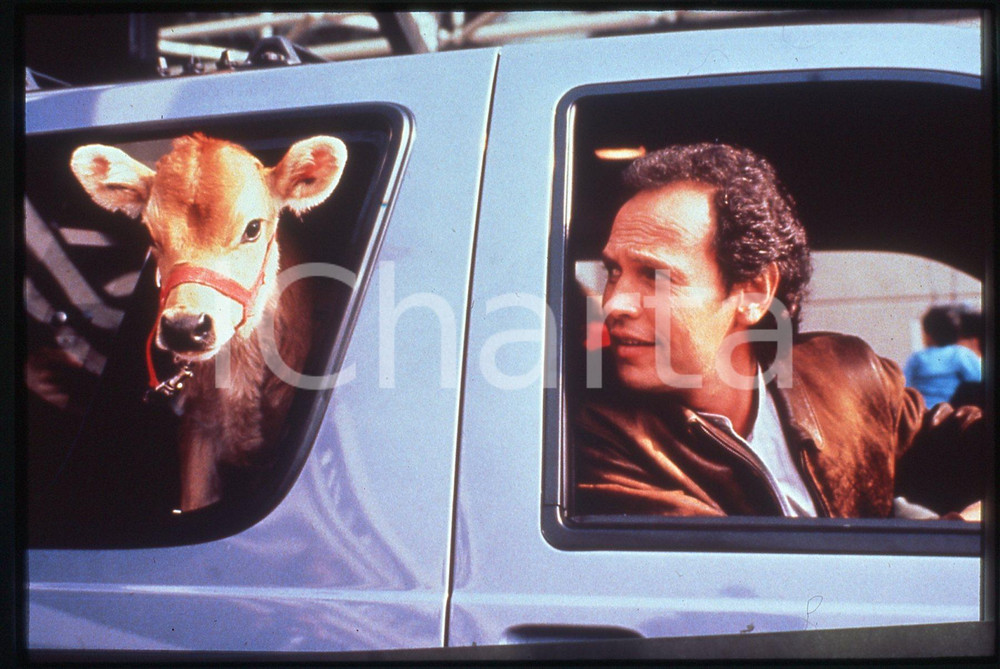 35mm vintage slide* 1991 CITY SLICKERS Billy CRYSTAL in una scena del Film (6)