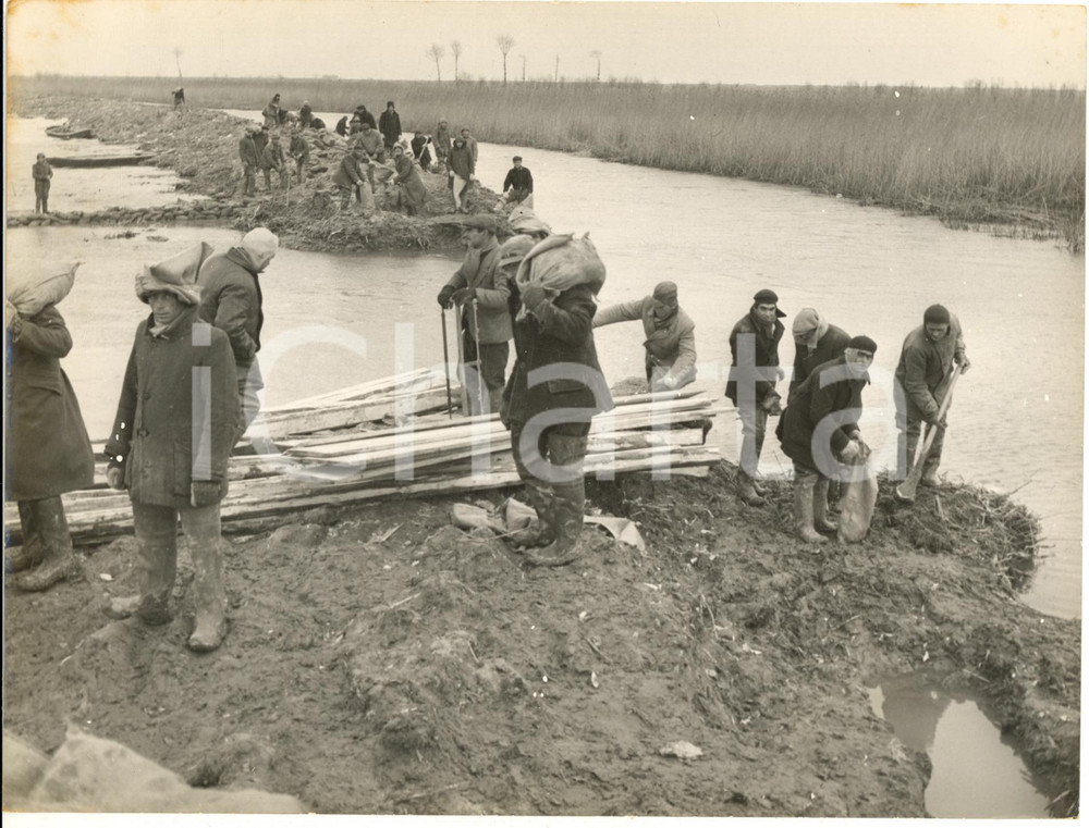 1954 ALLUVIONE PORTO TOLLE (RO) Interventi a un argine ceduto - Fotografia 24x18