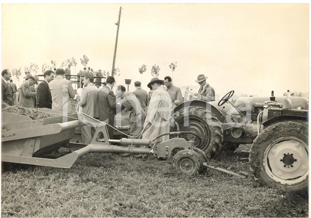 1953 TORINO MIRAFIORI Giornata di dimostrazione agraria - Foto 24x18 cm