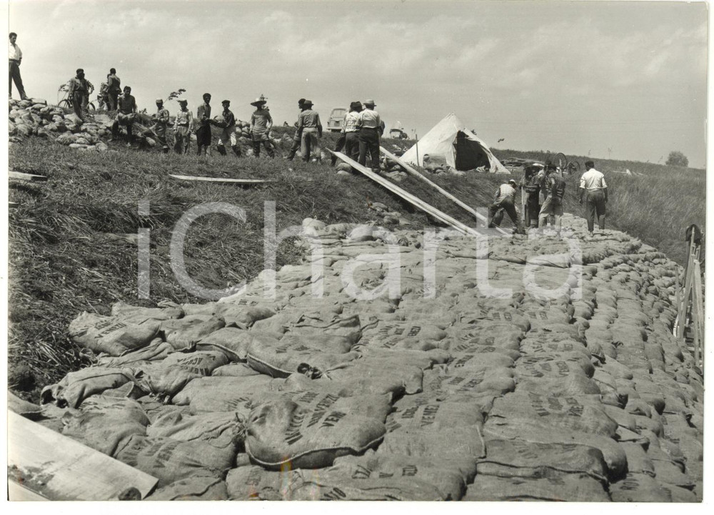 1957 ALLUVIONE DEL POLESINE Costruzione di un argine con sacchi di sabbia *Foto