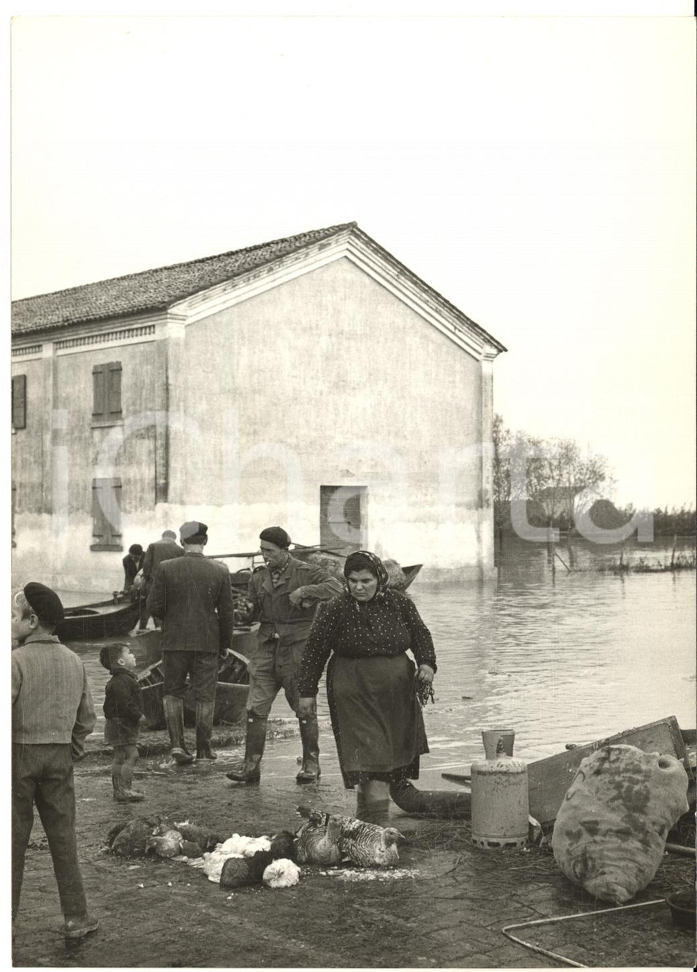 1957 ALLUVIONE POLESINE CAMERINI Esercito sgombera la popolazione - Foto 13x18