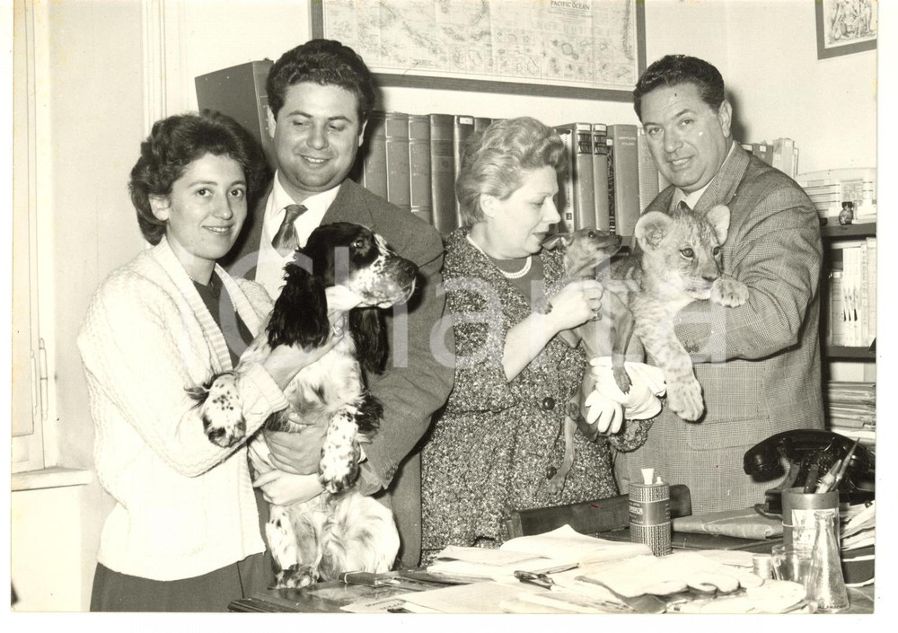 1957 ROMA Angelo LOMBARDI in famiglia con un cucciolo di leone *Foto 18x13 cm