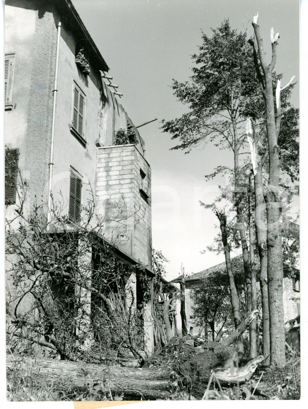1957 LANZO D'INTELVI (CO) Giardino devastato da una bufera *Foto 13x18 cm