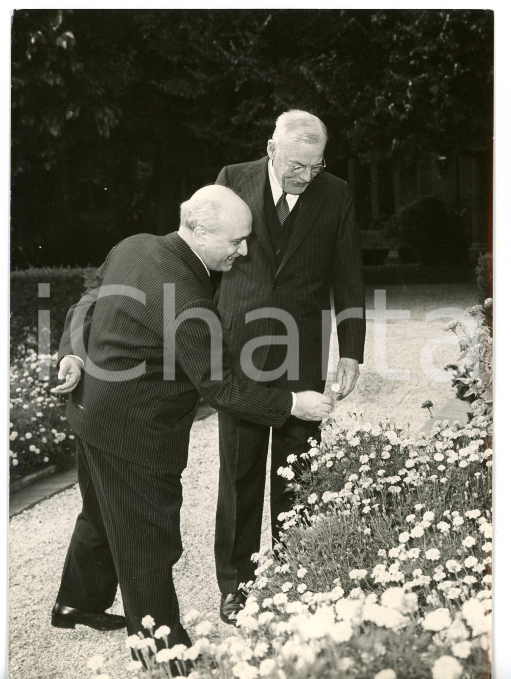 1958 ROMA Villa Madama - John FOSTER DULLES con Amintore FANFANI in giardino