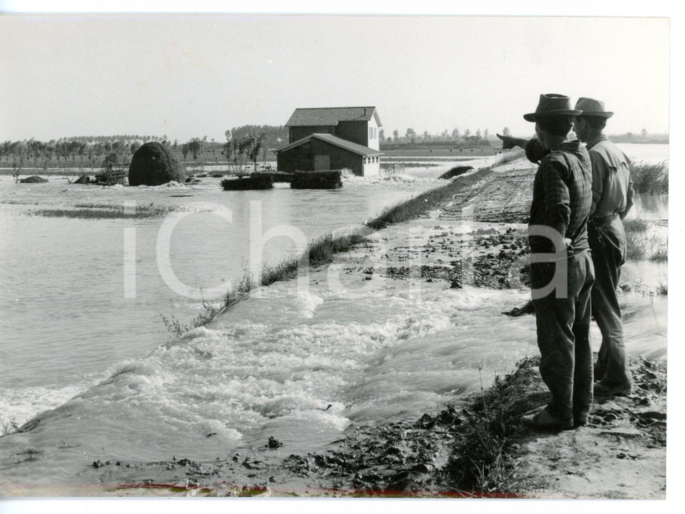 1957 POLESINE - TAGLIO DI PO Contadini indicano le case allagate *Foto 18x13 cm