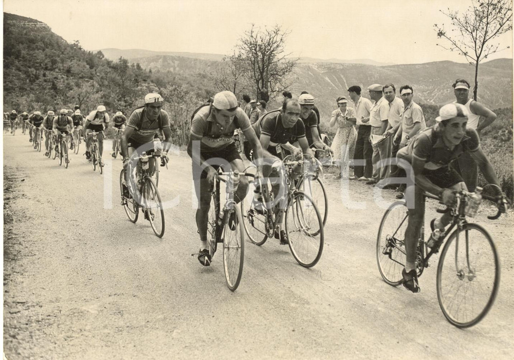 1953 TOUR DE FRANCE Vincent VITETTA Roger WALKOWIAK Fiorenzo MAGNI *Foto 18x13
