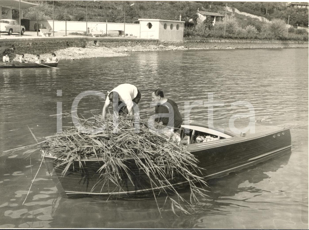 1953 MOTONAUTICA SARNICO Achille CASTOLDI strappa erbacce per tentare il record  Fotografia d'epoca con didascalia coeva al verso.   CONDIZIONI: G (ma lieve sovraimpressione circolare) FORMATO: 18x13 cm     originale e autentica 1